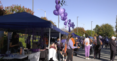 “A community event with people gathered around outdoor tents and booths on a sunny day. Purple balloons are strung in clusters along the walkway, and many attendees are wearing purple clothing. Some people are walking, while others are talking or visiting booths. Trees with autumn foliage and streetlights line the background.”