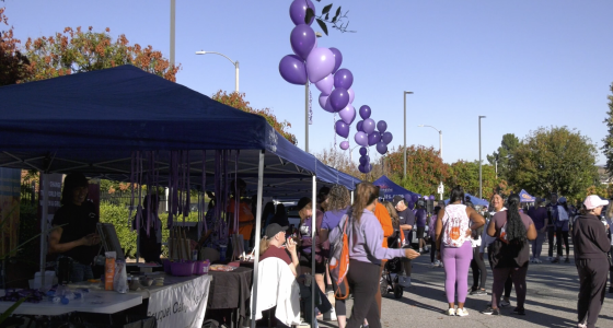 “A community event with people gathered around outdoor tents and booths on a sunny day. Purple balloons are strung in clusters along the walkway, and many attendees are wearing purple clothing. Some people are walking, while others are talking or visiting booths. Trees with autumn foliage and streetlights line the background.”