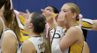 A group of female volleyball players in yellow, white, and navy uniforms cheer enthusiastically from the sidelines during a game. Most of them have their hair tied back with pink ribbons, likely in support of breast cancer awareness. One player in the foreground cups her hands around her mouth as she shouts encouragement. The players display energetic and supportive body language, emphasizing team spirit and camaraderie.