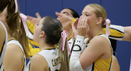 A group of female volleyball players in yellow, white, and navy uniforms cheer enthusiastically from the sidelines during a game. Most of them have their hair tied back with pink ribbons, likely in support of breast cancer awareness. One player in the foreground cups her hands around her mouth as she shouts encouragement. The players display energetic and supportive body language, emphasizing team spirit and camaraderie.