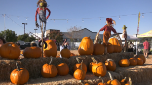 A pumpkin patch display features stacks of hay bales topped with large orange pumpkins and colorful scarecrows dressed in fall attire. People are seen enjoying the sunny day, with one person taking a photo among the pumpkins. String lights hang overhead, and tents and trees are visible in the background, creating a festive autumn atmosphere.
