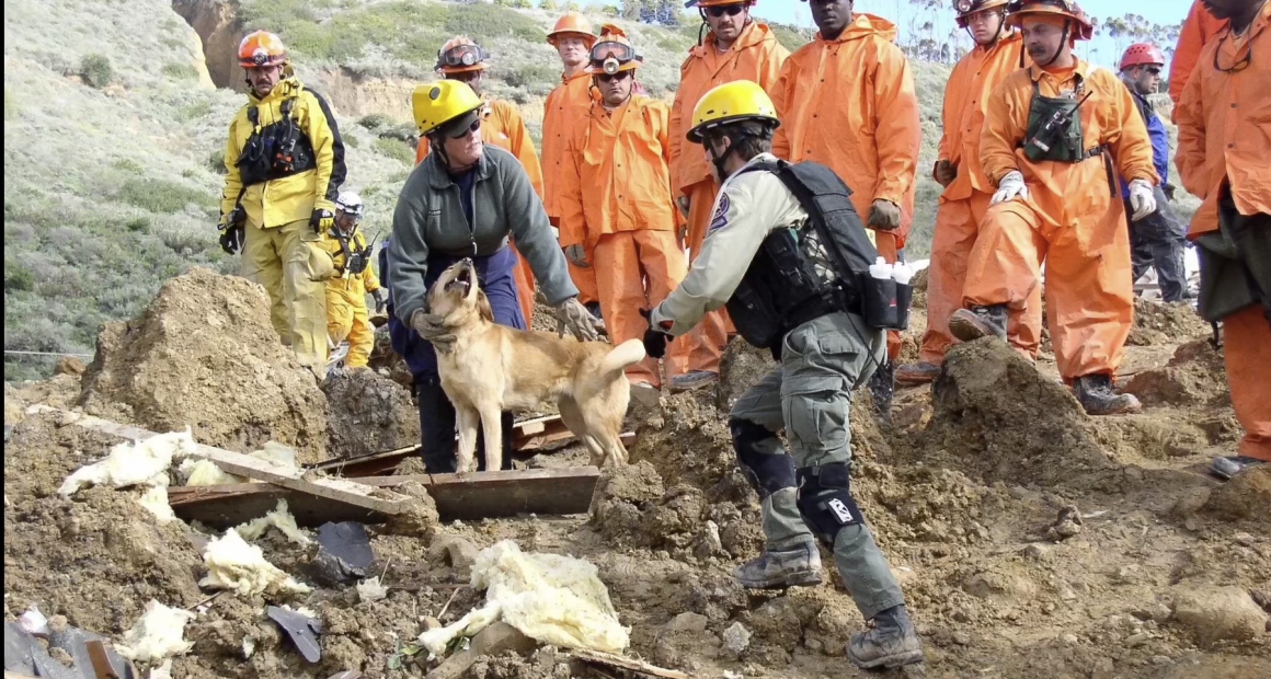 A group of rescue workers wearing helmets and protective gear work together at a disaster site covered in dirt and debris. Two rescuers in the foreground assist a search-and-rescue dog, while several others in orange and yellow suits observe in the background. The scene appears to be part of a coordinated search or training operation in a rugged outdoor environment.
