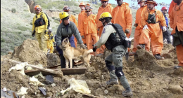 A group of rescue workers wearing helmets and protective gear work together at a disaster site covered in dirt and debris. Two rescuers in the foreground assist a search-and-rescue dog, while several others in orange and yellow suits observe in the background. The scene appears to be part of a coordinated search or training operation in a rugged outdoor environment.