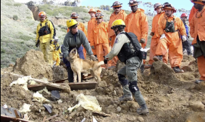A group of rescue workers wearing helmets and protective gear work together at a disaster site covered in dirt and debris. Two rescuers in the foreground assist a search-and-rescue dog, while several others in orange and yellow suits observe in the background. The scene appears to be part of a coordinated search or training operation in a rugged outdoor environment.