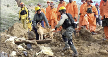 A group of rescue workers wearing helmets and protective gear work together at a disaster site covered in dirt and debris. Two rescuers in the foreground assist a search-and-rescue dog, while several others in orange and yellow suits observe in the background. The scene appears to be part of a coordinated search or training operation in a rugged outdoor environment.