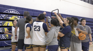 A women's basketball team and their coach are huddled together in a gym, forming a tight circle with their hands reaching toward the center. Several players are wearing white and navy blue jerseys with gold trim, and one player's jersey shows the number 23. The background features blue bleachers with a large yellow and black mascot logo and team name. One player on the far right holds a Wilson basketball and looks toward the camera.
