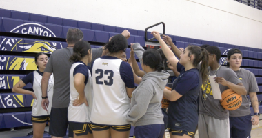 A women's basketball team and their coach are huddled together in a gym, forming a tight circle with their hands reaching toward the center. Several players are wearing white and navy blue jerseys with gold trim, and one player's jersey shows the number 23. The background features blue bleachers with a large yellow and black mascot logo and team name. One player on the far right holds a Wilson basketball and looks toward the camera.
