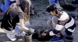a COC student in black on the left helps another student in a brown and white striped shirt dig a hole in the ground for a small plant.