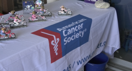 A close-up shot of a white table cloth with the American Cancer Society logo printed on a blue banner across the center. On the left side of the table, there are several small figurines of teddy bears dressed in pink and black riding silver motorcycles. The table is likely set up for a charity event.