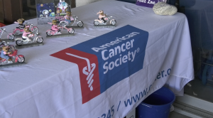 A close-up shot of a white table cloth with the American Cancer Society logo printed on a blue banner across the center. On the left side of the table, there are several small figurines of teddy bears dressed in pink and black riding silver motorcycles. The table is likely set up for a charity event.
