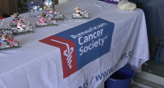 A close-up shot of a white table cloth with the American Cancer Society logo printed on a blue banner across the center. On the left side of the table, there are several small figurines of teddy bears dressed in pink and black riding silver motorcycles. The table is likely set up for a charity event.