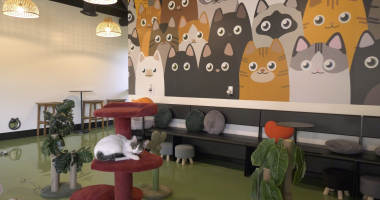 A cozy, modern cat lounge with a colorful wall mural of cartoon cats. A real cat rests on a red multi-level cat tree in the foreground, surrounded by plants, stools, and seating along the wall under warm hanging lights.