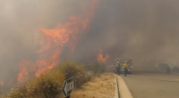 Firefighters in yellow gear battle a large roadside wildfire as tall flames and thick smoke engulf dry brush next to a paved road, with a fire engine parked nearby and visibility reduced by haze.