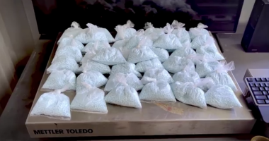 Dozens of small clear plastic bags filled with light blue pills are arranged in rows on a tabletop scale labeled “Mettler Toledo,” with a computer keyboard partially visible to the side.