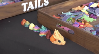 A high-angle, close-up shot of a black tabletop featuring 3D-printed dragon components. In the foreground, a small, orange dragon head with large black eyes sits at the end of a line of various colorful, textured segments that transition through a rainbow of colors including red, yellow, green, and blue.