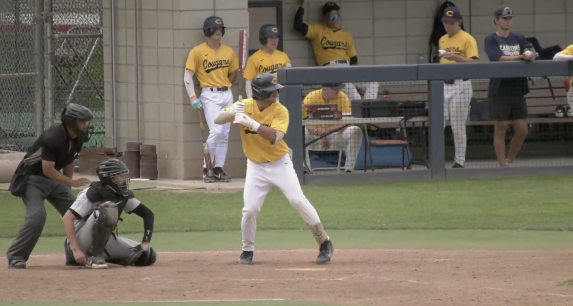 A baseball player in a yellow "Cougars" jersey and white pants stands at home plate, gripping a bat and preparing for a pitch. He wears a black helmet and a protective guard on his left shin. Behind him, a catcher in grey and black gear crouches in position, while an umpire in a black uniform stands ready to the left. In the background, several teammates in matching yellow jerseys and black hats watch from the dugout and the surrounding area. The game is being played on a dirt infield with a green grass outfield under bright, overcast daylight.