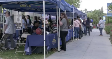 Students and staff gather under a row of blue canopy tents on campus, browsing booths and talking with program representatives during an outdoor college event.